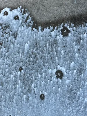 snow frozen